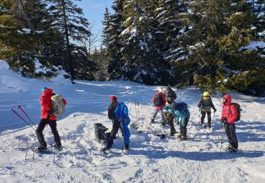 Percorso Racchette da neve Les Rousses - Noirmont et mont Sala Suisse - Photo