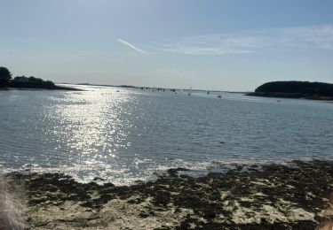 Trail sport Saint-Armel - St Armelle  - Photo
