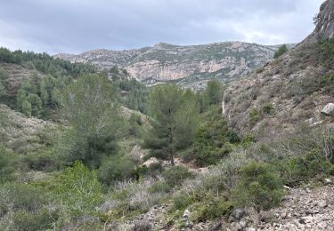 Trail Walking Marseille - Luminy-l'escalette - Photo