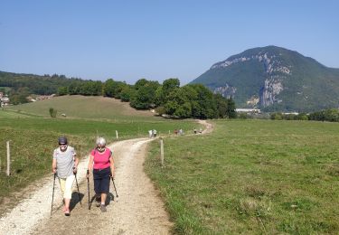 Tour Wandern Poisy - Marais de poisy, chemin de Poësy et vergers de Macully - Photo