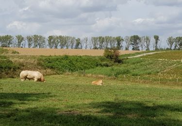 Randonnée Marche Waterloo - Bois bruyère 0820 - Photo