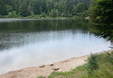 Trail Walking La Bresse - Lac de Blanchenet - Photo