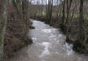 Tour Zu Fuß Hellenthal - Eisvogelpfad - Photo