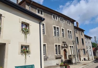 Trail Walking Château-Salins - Vic sur seille au départ de Château Salins  - Photo