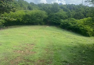 Tocht Trail Sainte-Anne - Modette  - Photo