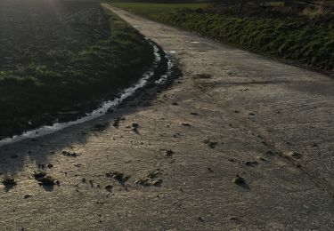 Randonnée Marche Chaumont-Gistoux - Mettrmbruke - Photo