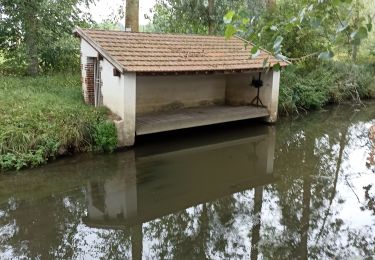 Excursión Senderismo Hanches - Hanches  - Photo