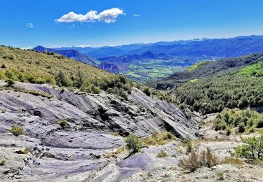 Tour Wandern Esparron - Montagne de Rochefort via Esparron - Photo