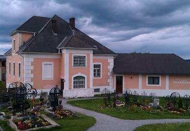Tour Zu Fuß St. Kathrein am Offenegg - Vogelbeer Panormaweg - Photo