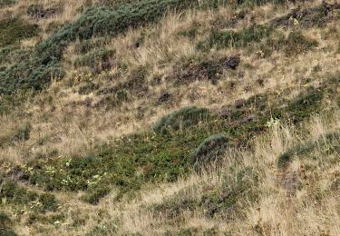 Tocht Stappen Le Claux - RA 2022 Traversée Eylac Lioran - Photo