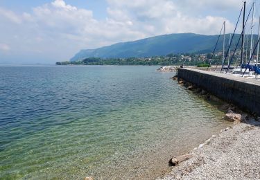 Trail Road bike Saint-Jorioz - REALISE Lac Bourget 87 km 1094 m - Photo