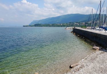 Percorso Bici da strada Saint-Jorioz - REALISE Lac Bourget 87 km 1094 m - Photo