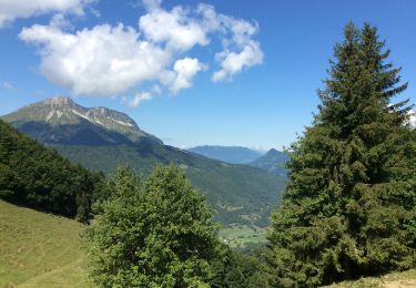 Trail Walking Saint-Pierre-d'Albigny - Pierre Besse vers la Croix d’Arclusaz  - Photo