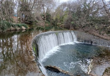 Tour Wandern Solliès-Ville - domaine castille la crau - Photo