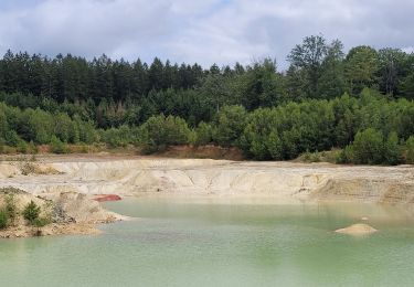 Tour Wandern Libin - rando redu 30-07-2023 - Photo