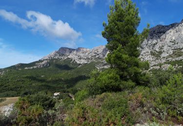 Trail Walking Puyloubier - La Ste Victoire-pic des mouches-07-10-20 - Photo