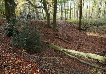 Trail On foot  - Gysenberg Rundweg A1 - Photo