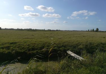 Randonnée V.T.T. Caen - balade le long du canal  - Photo