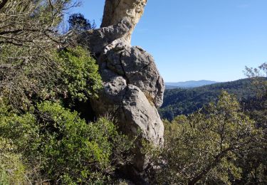 Trail Walking La Celle - Roc de Candelon - Photo