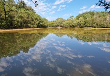 Tour Wandern Marray - Marray - Les versants de la Dême - Photo