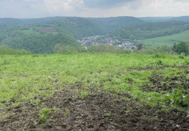 Randonnée Marche Trooz - Au tour de forêt( trooz)13 Km - Photo