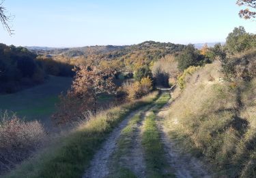 Tour Wandern Villasavary - Tour Montcarrière depuis Monplaisir - Photo