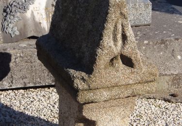 Percorso A piedi Vire Normandie - Le Bois de l'Ermitage - Photo