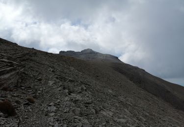 Trail Walking Saint-Dalmas-le-Selvage - Cime de Pal par Gialorgues - Photo