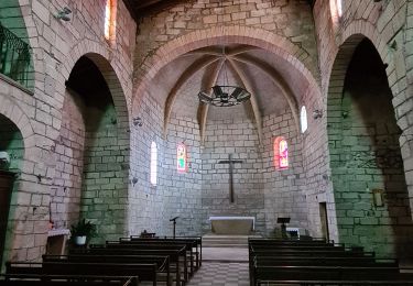 Randonnée Marche Le Cailar - cailar-costieres-camargues - Photo