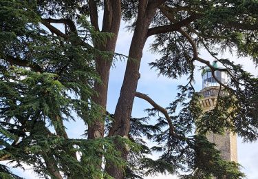 Tour Wandern Fatouville-Grestain - HONFLEUR 07 - Phare de Fatouville (Normandie) - Photo