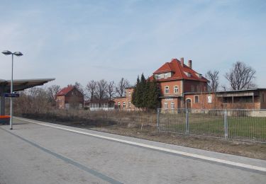 Percorso A piedi Laucha an der Unstrut - Borntal Rundweg - Photo