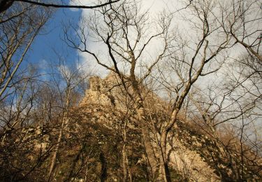 Tour Zu Fuß  - C.N.I.PT. Vlăhița - Colțul Chirui - Peștera Orbán Balázs (Cheile Vârghișului) - Photo