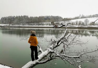 Tour Wandern Bütgenbach - Le lac miroir à Bütgenbach   - Photo