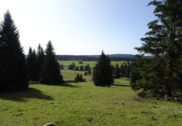 Percorso A piedi Horní Blatná - NS Blatenský příkop - Photo