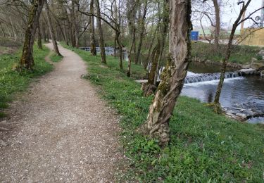 Trail Walking Saint-Julien-en-Genevois - Le long de l'Aire (Départ Thairy) - Photo