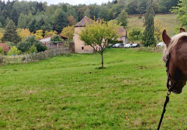 Trail Horseback riding Kaysersberg-Vignoble - 2020-10-11 Balade Kaysersberg Auberge St Alexis - Photo