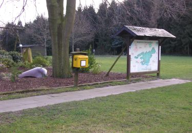 Tocht Te voet Quernheim - Lila Route - Stemweder Berg - Photo