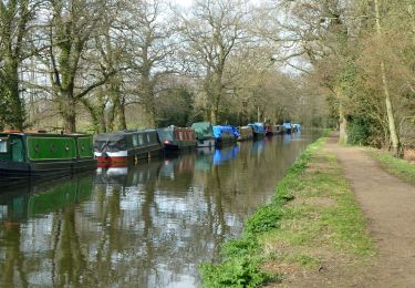 Percorso A piedi Woking - Canons and Cornmills - Photo