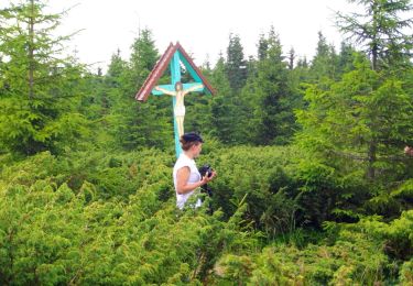 Tocht Te voet Vatra Dornei - Vatra Dornei-Schitul 12 Apostoli - Photo