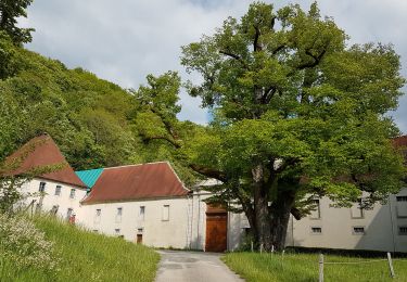 Trail Walking Simandre-sur-Suran - Selignac Lavillat Arnans - Photo
