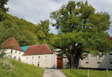 Randonnée Marche Simandre-sur-Suran - Selignac Lavillat Arnans - Photo