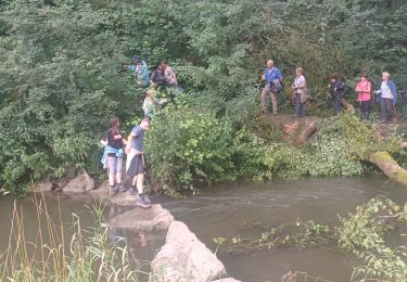 Tocht Stappen Chimay - Tamalous de la Botte 2023.08.03 - Photo