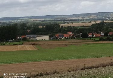 Trail Walking Bouvelinghem - Les quatre bois - Photo