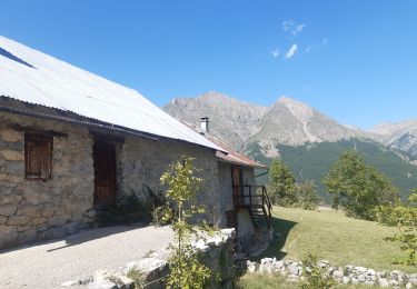 Tour Wandern Réallon - le tour d Appolinaire  - Photo