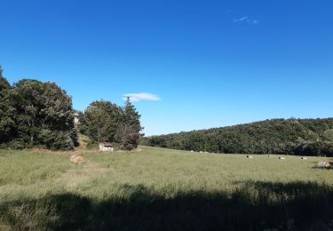 Trail Walking Le Boulou - rando de la bataille du Boulou - Photo