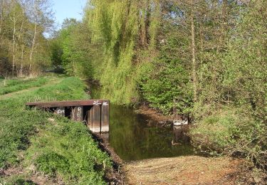 Randonnée A pied Wandlitz - Tegeler Fließtalweg - Photo