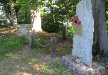 Tocht Te voet Murialdo - Murialdo - Monte Camulera - Photo