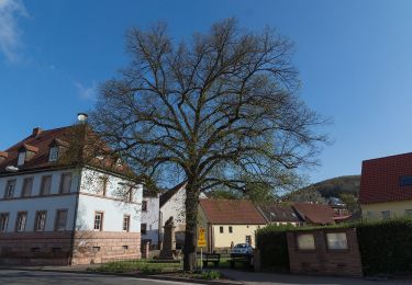 Randonnée A pied Frankelbach - Teufelstour - Photo