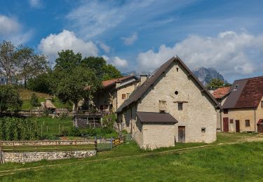 Trail On foot Recoaro Terme - IT-134 - Photo