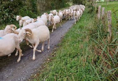 Percorso Marcia Bedous - bedous lees  athas  - Photo
